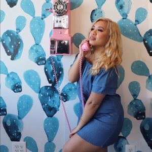 NEW Chambray Off Shoulder Dress